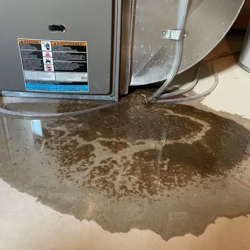 Appliance Leak Cleanup in Steelville, MO